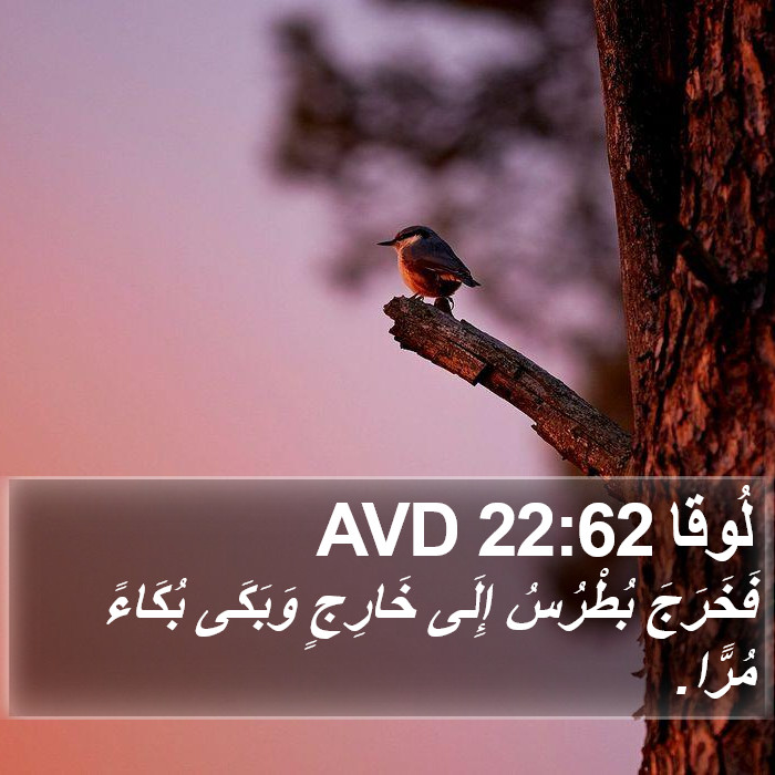 لُوقا 22:62 AVD Bible Study