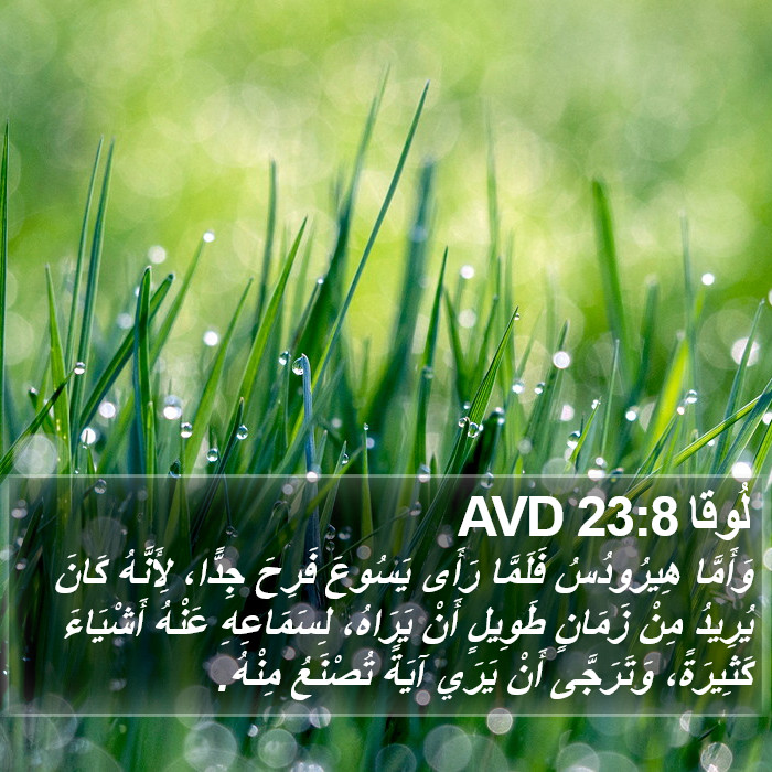 لُوقا 23:8 AVD Bible Study