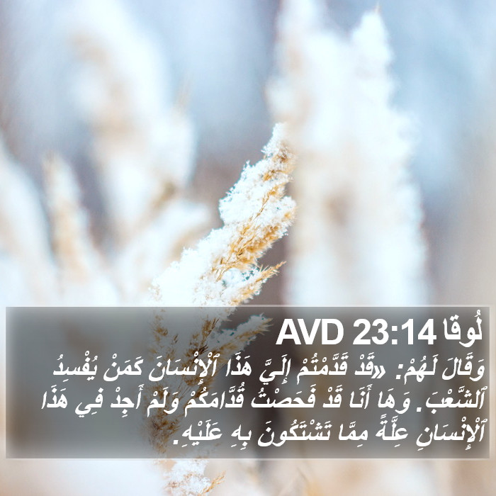 لُوقا 23:14 AVD Bible Study