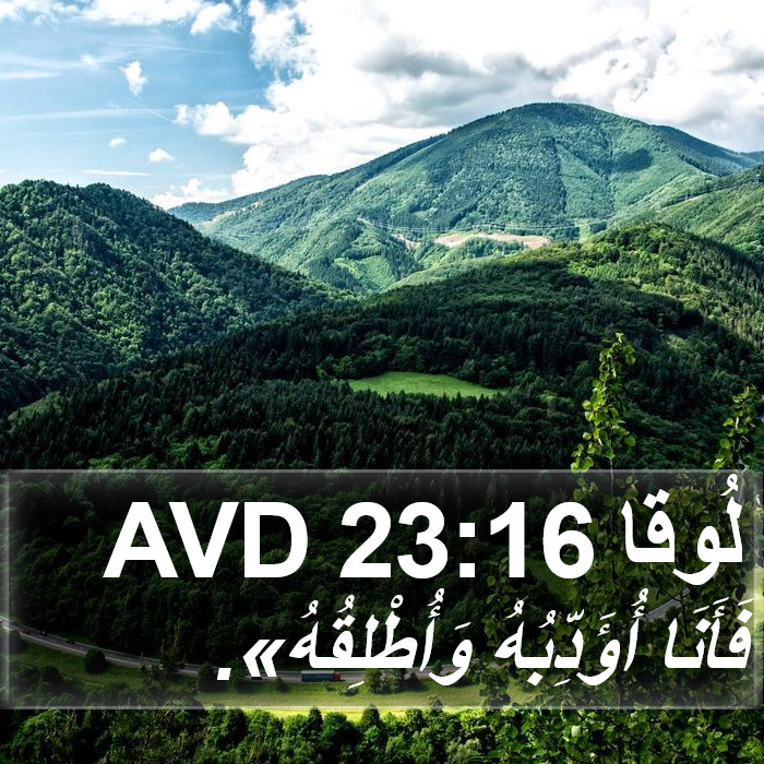 لُوقا 23:16 AVD Bible Study