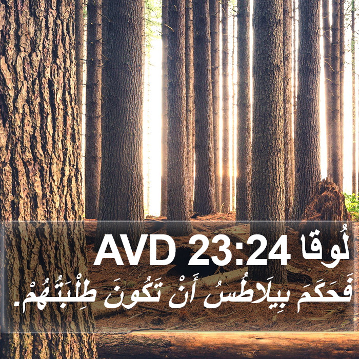 لُوقا 23:24 AVD Bible Study