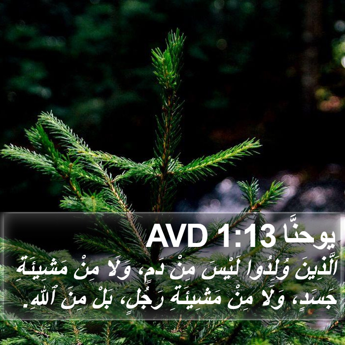 يوحنَّا 1:13 AVD Bible Study