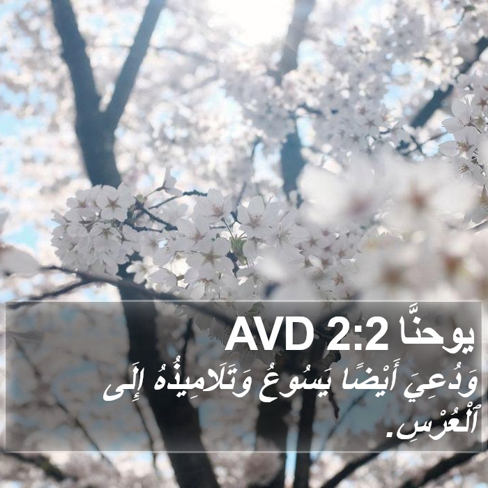 يوحنَّا 2:2 AVD Bible Study