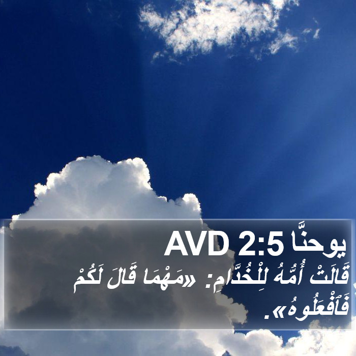 يوحنَّا 2:5 AVD Bible Study