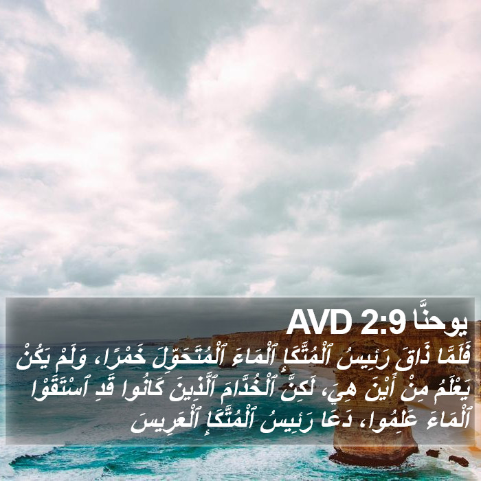 يوحنَّا 2:9 AVD Bible Study