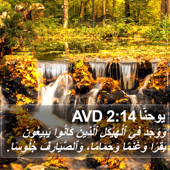 يوحنَّا 2:14 AVD Bible Study