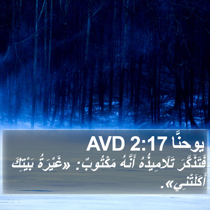 يوحنَّا 2:17 AVD Bible Study