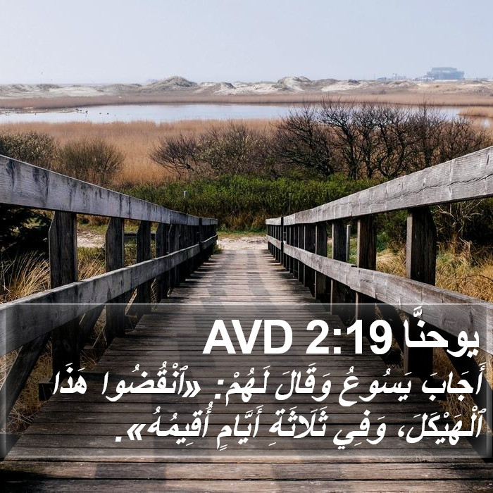 يوحنَّا 2:19 AVD Bible Study