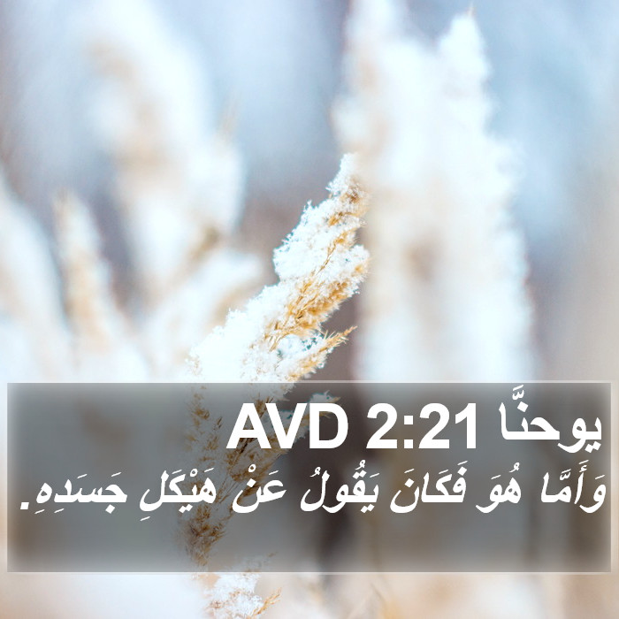 يوحنَّا 2:21 AVD Bible Study