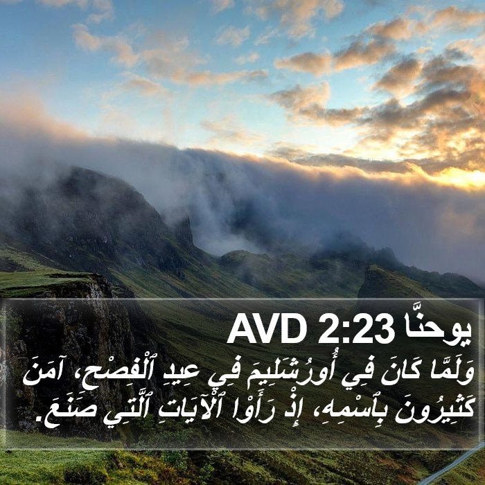 يوحنَّا 2:23 AVD Bible Study