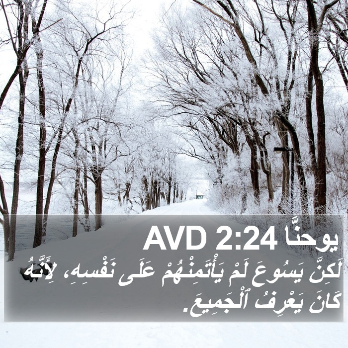 يوحنَّا 2:24 AVD Bible Study