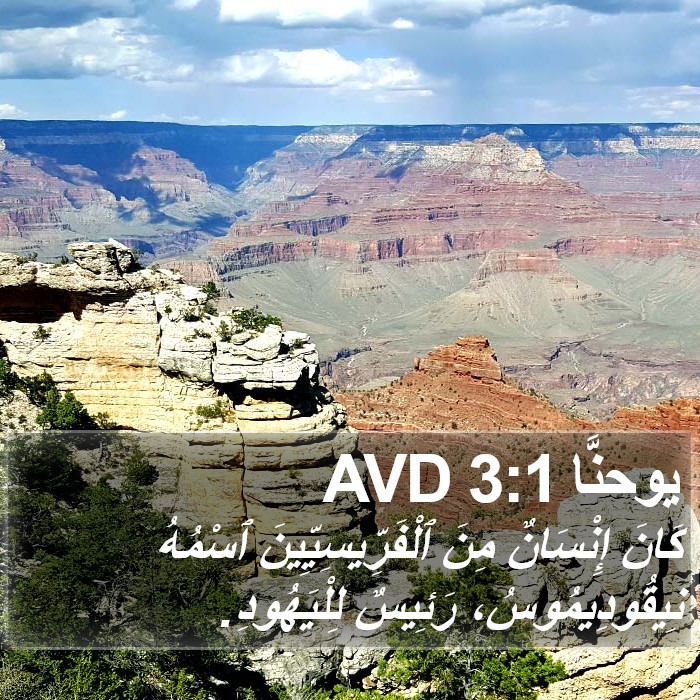 يوحنَّا 3:1 AVD Bible Study