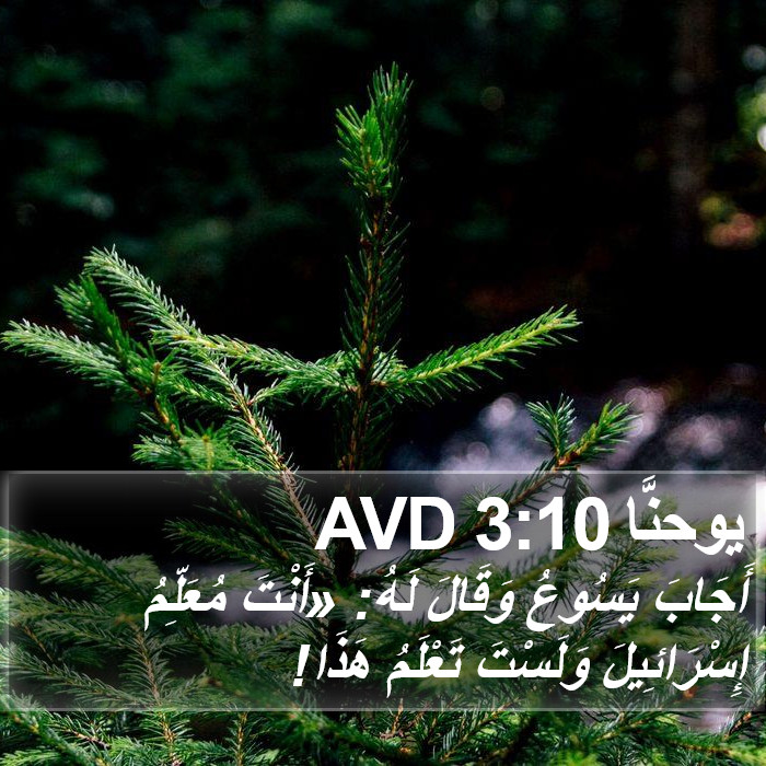 يوحنَّا 3:10 AVD Bible Study