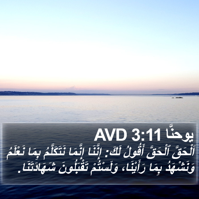 يوحنَّا 3:11 AVD Bible Study