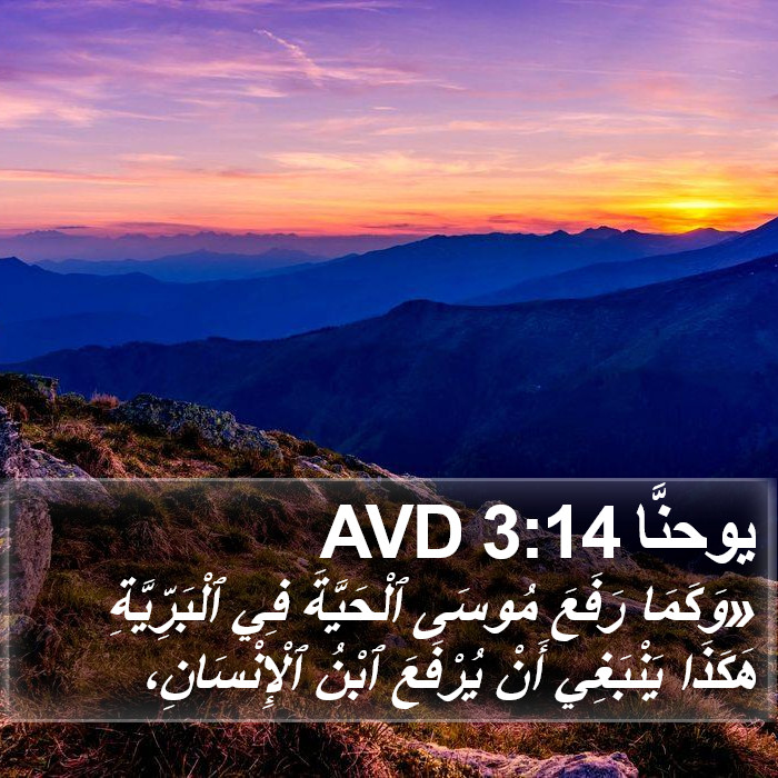 يوحنَّا 3:14 AVD Bible Study