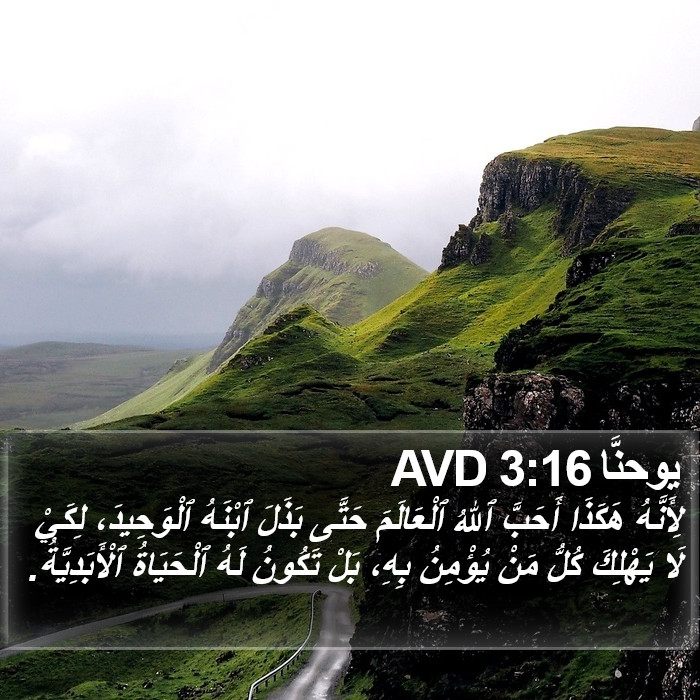 يوحنَّا 3:16 AVD Bible Study