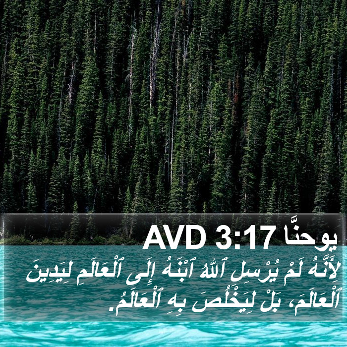 يوحنَّا 3:17 AVD Bible Study
