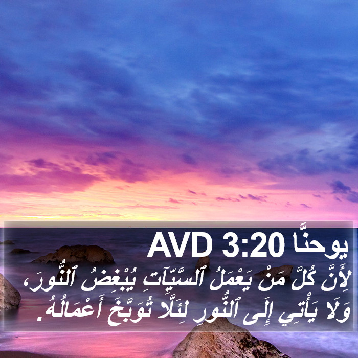 يوحنَّا 3:20 AVD Bible Study