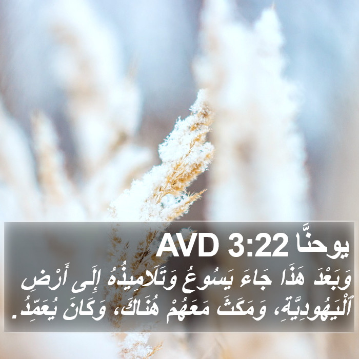 يوحنَّا 3:22 AVD Bible Study
