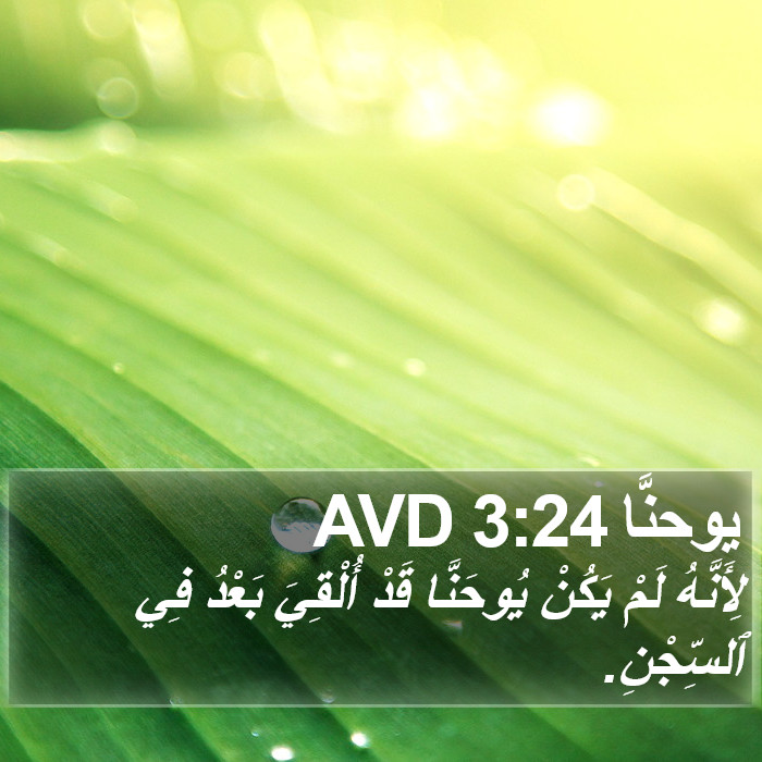 يوحنَّا 3:24 AVD Bible Study