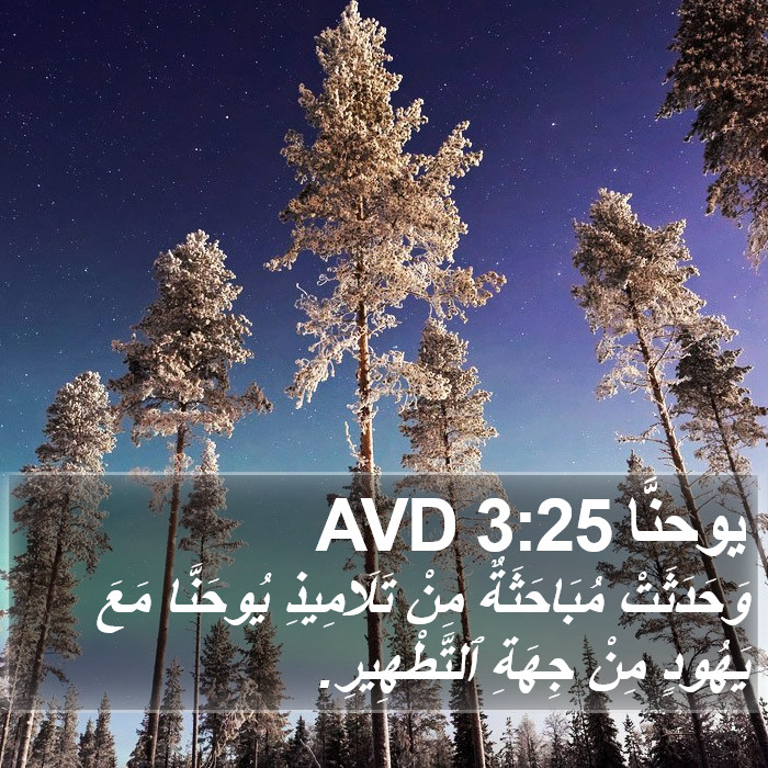 يوحنَّا 3:25 AVD Bible Study