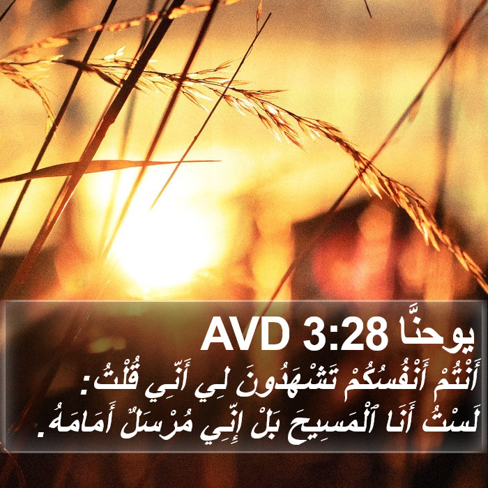 يوحنَّا 3:28 AVD Bible Study