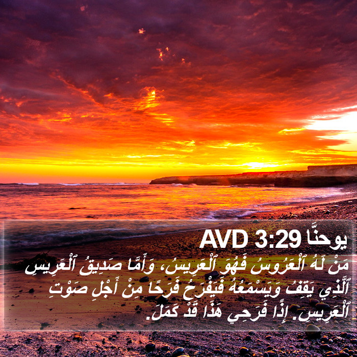 يوحنَّا 3:29 AVD Bible Study