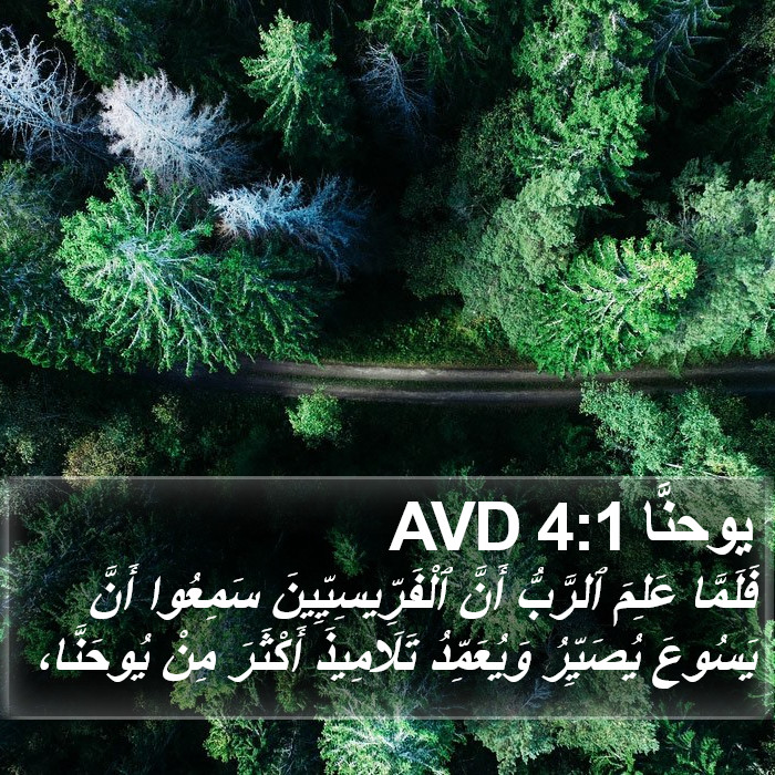 يوحنَّا 4:1 AVD Bible Study