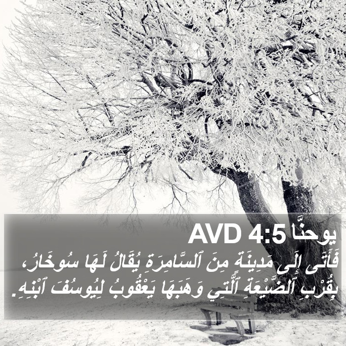 يوحنَّا 4:5 AVD Bible Study
