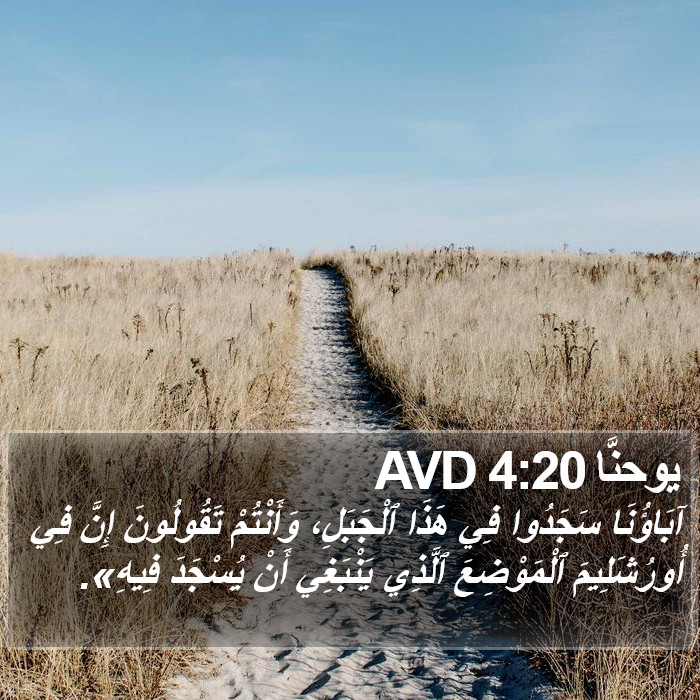 يوحنَّا 4:20 AVD Bible Study