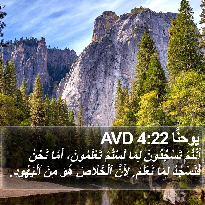 يوحنَّا 4:22 AVD Bible Study