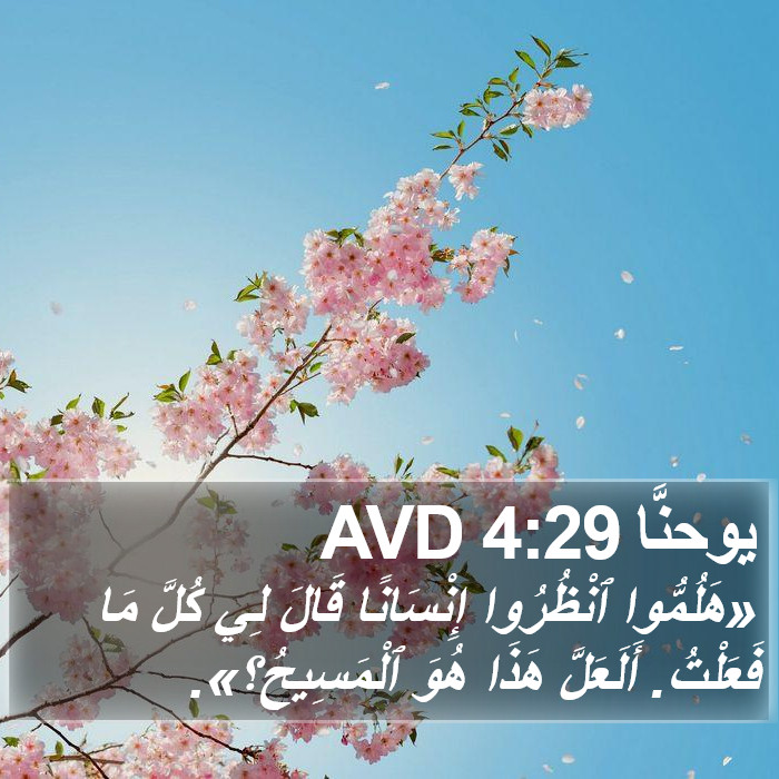 يوحنَّا 4:29 AVD Bible Study