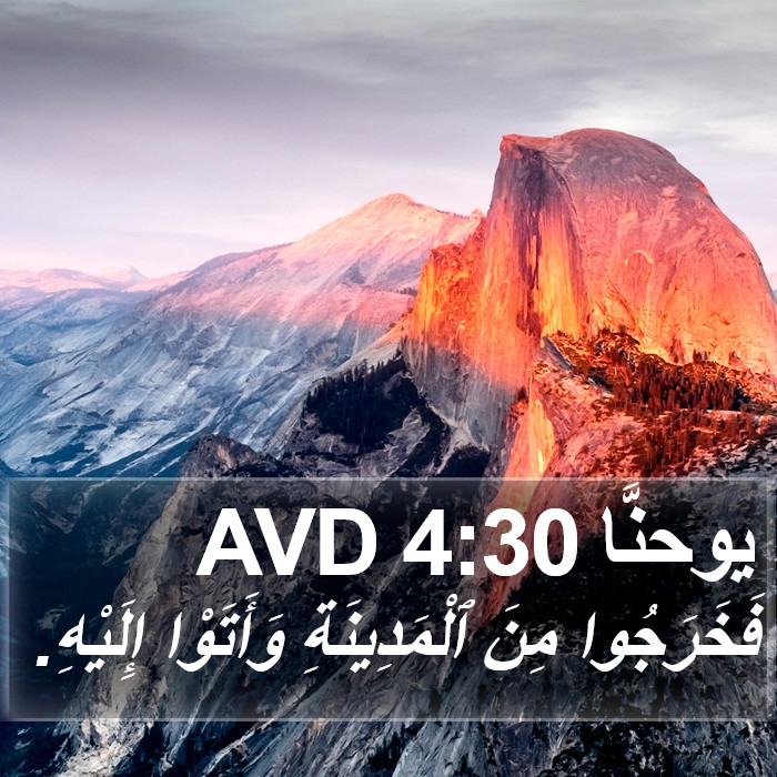 يوحنَّا 4:30 AVD Bible Study