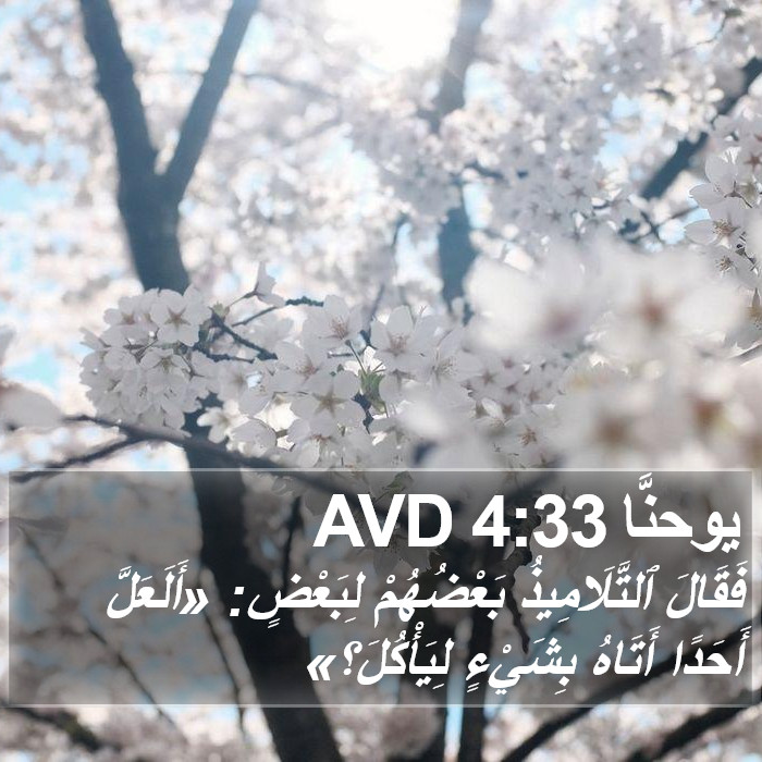 يوحنَّا 4:33 AVD Bible Study