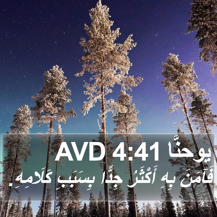يوحنَّا 4:41 AVD Bible Study