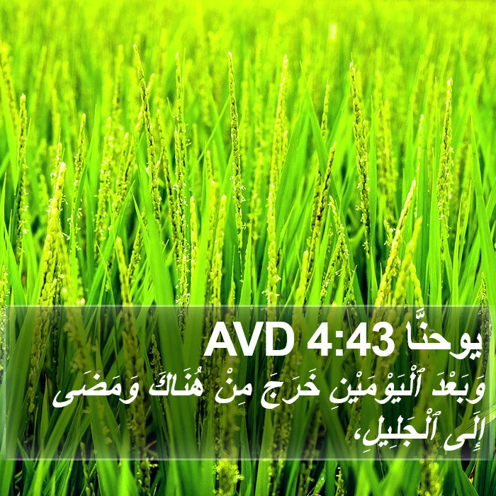يوحنَّا 4:43 AVD Bible Study