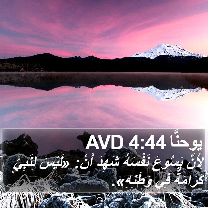 يوحنَّا 4:44 AVD Bible Study