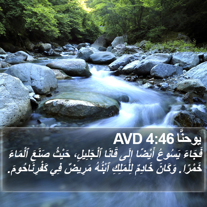 يوحنَّا 4:46 AVD Bible Study