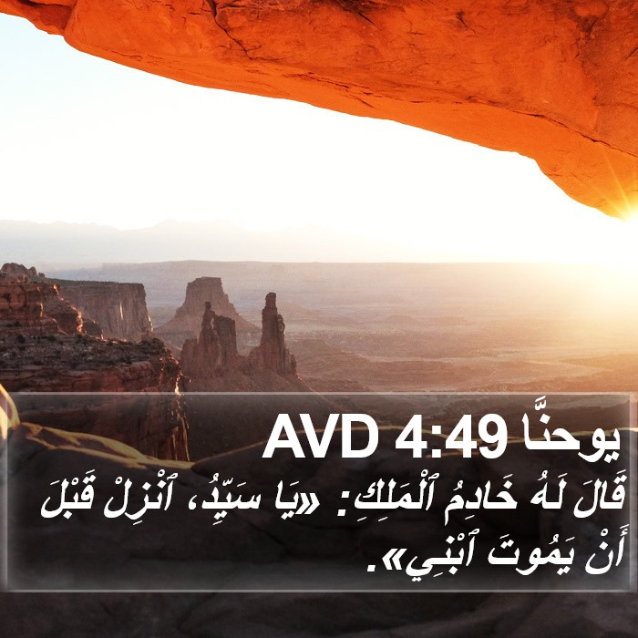 يوحنَّا 4:49 AVD Bible Study