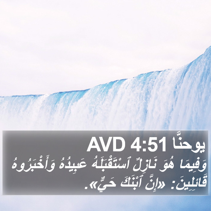 يوحنَّا 4:51 AVD Bible Study