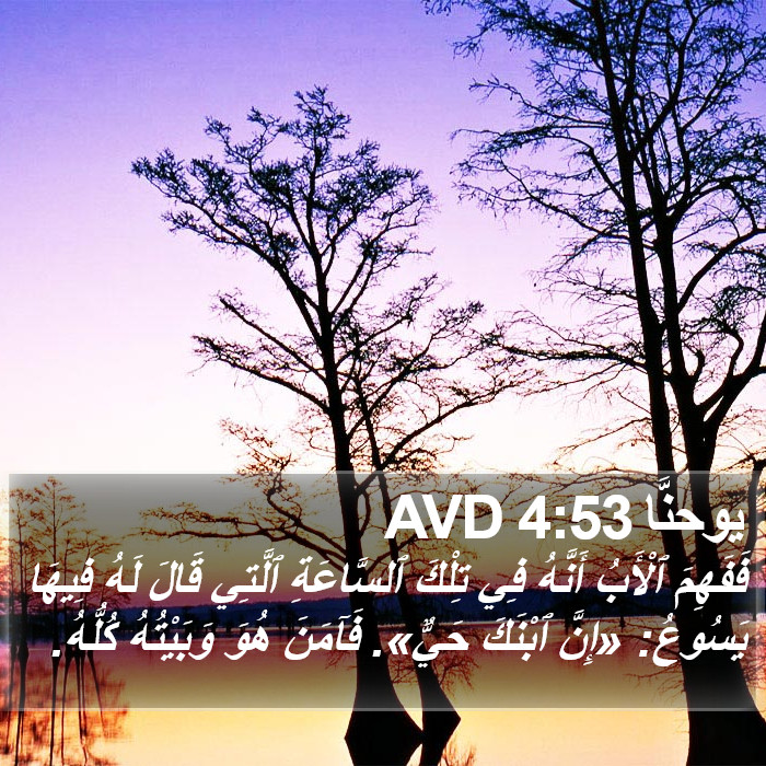 يوحنَّا 4:53 AVD Bible Study