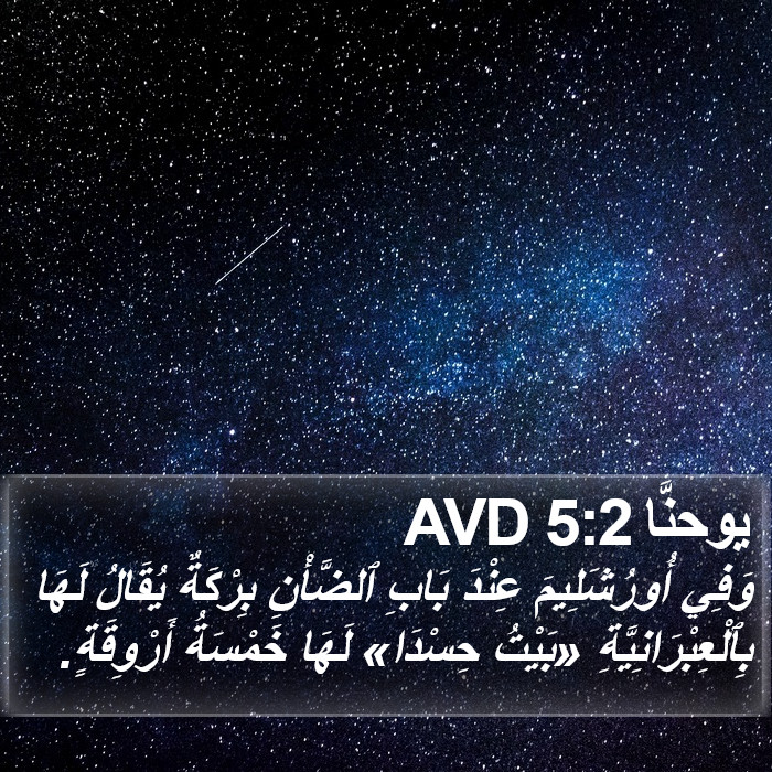 يوحنَّا 5:2 AVD Bible Study