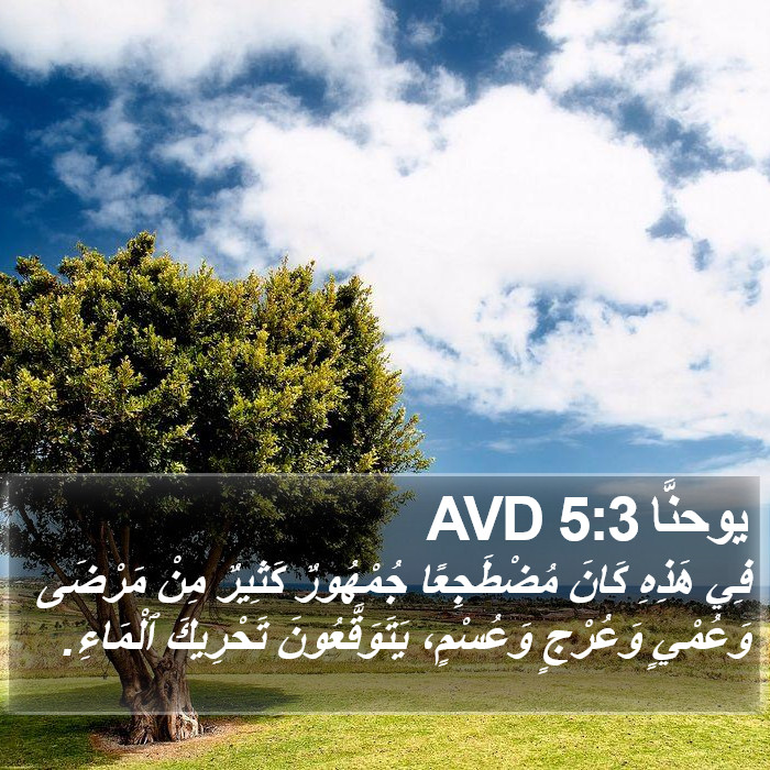 يوحنَّا 5:3 AVD Bible Study