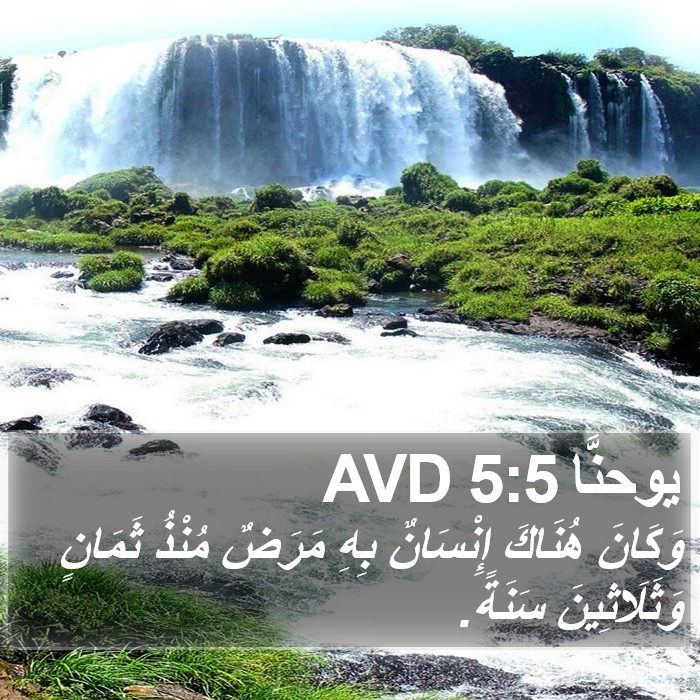 يوحنَّا 5:5 AVD Bible Study