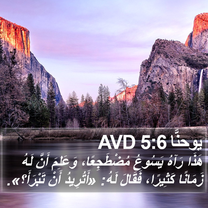 يوحنَّا 5:6 AVD Bible Study