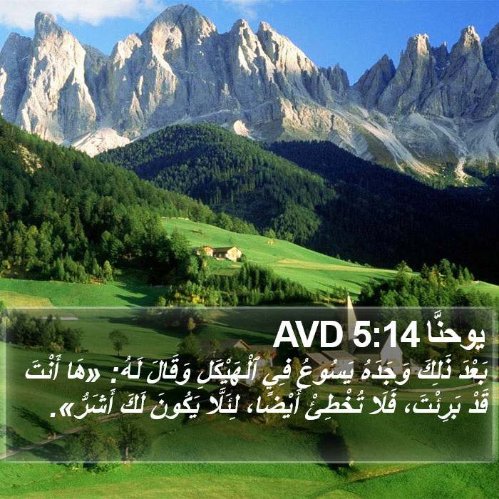 يوحنَّا 5:14 AVD Bible Study