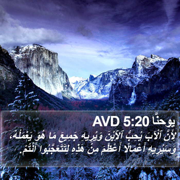 يوحنَّا 5:20 AVD Bible Study