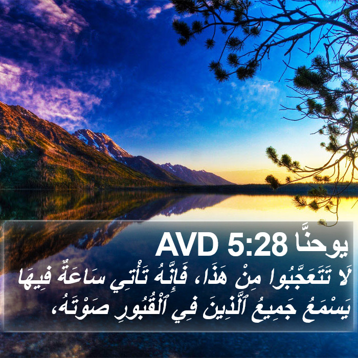 يوحنَّا 5:28 AVD Bible Study