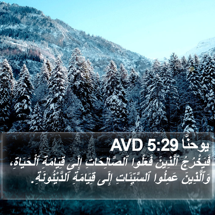 يوحنَّا 5:29 AVD Bible Study