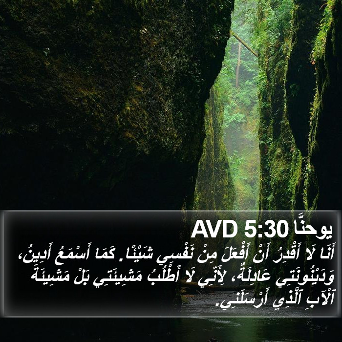 يوحنَّا 5:30 AVD Bible Study